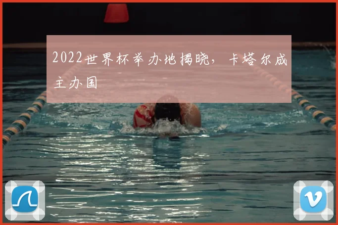 2022世界杯举办地揭晓,卡塔尔成主办国