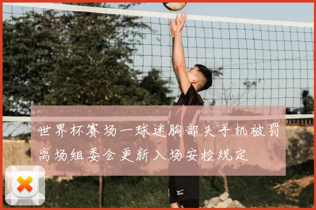 世界杯赛场一球迷胸部夹手机被罚离场组委会更新入场安检规定