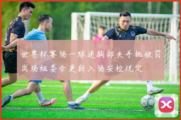 世界杯赛场一球迷胸部夹手机被罚离场组委会更新入场安检规定