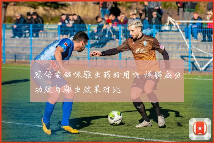 宠倍安猫咪驱虫药好用吗 详解成分功效与驱虫效果对比